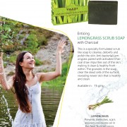enticing-lemongrass-scrub-soap